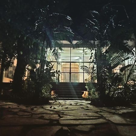 Canto De La Selva Jungle Lodge Selva Lacandona Chiapas Galaxia Exterior foto