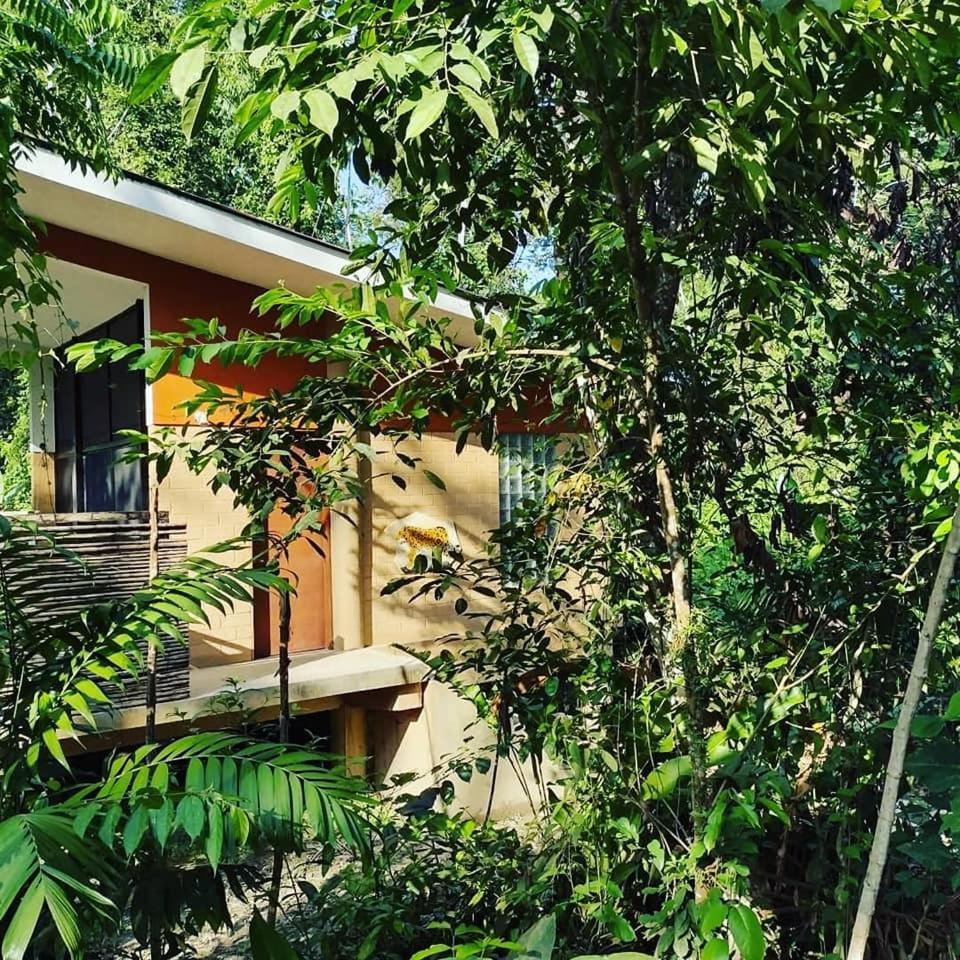 Canto De La Selva Jungle Lodge Selva Lacandona Chiapas Galaxia Exterior foto